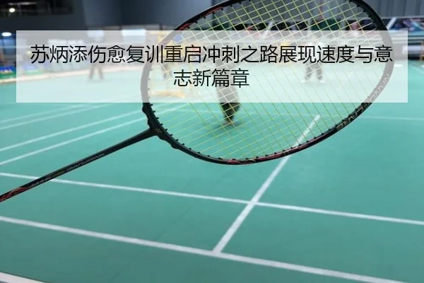 苏炳添伤愈复训重启冲刺之路展现速度与意志新篇章