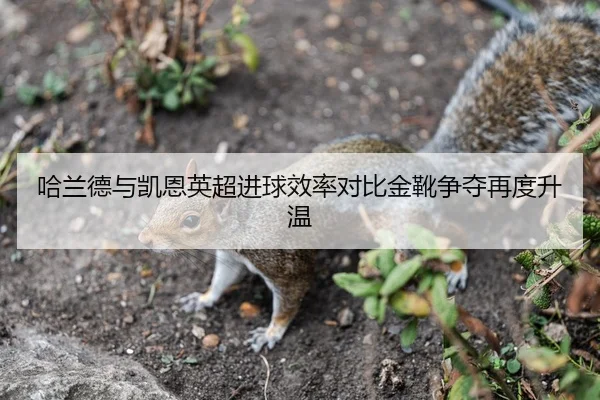 哈兰德与凯恩英超进球效率对比金靴争夺再度升温